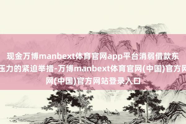 现金万博manbext体育官网app平台消弱借款东说念主还款压力的紧迫举措-万博manbext体育官网(中国)官方网站登录入口