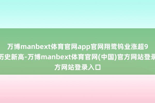 万博manbext体育官网app官网翔鹭钨业涨超9%创历史新高-万博manbext体育官网(中国)官方网站登录入口