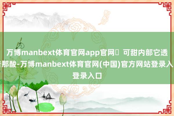 万博manbext体育官网app官网‍可甜内部它透着那酸-万博manbext体育官网(中国)官方网站登录入口