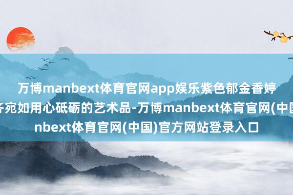 万博manbext体育官网app娱乐紫色郁金香婷婷玉立……每一朵齐宛如用心砥砺的艺术品-万博manbext体育官网(中国)官方网站登录入口
