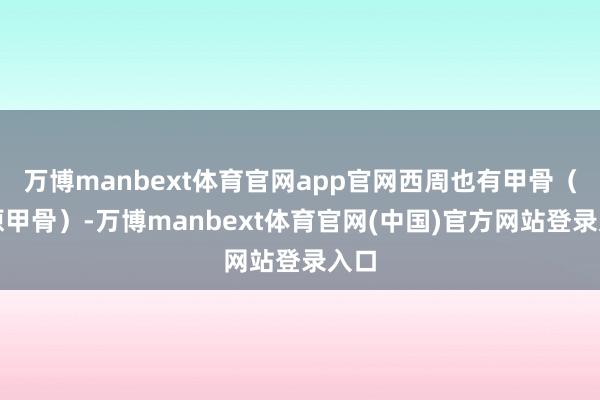 万博manbext体育官网app官网西周也有甲骨（周原甲骨）-万博manbext体育官网(中国)官方网站登录入口