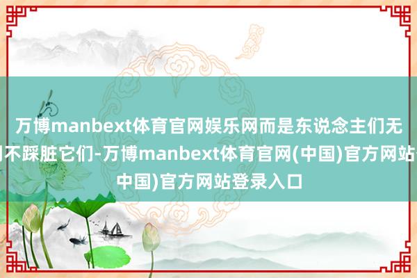 万博manbext体育官网娱乐网而是东说念主们无法作念到不踩脏它们-万博manbext体育官网(中国)官方网站登录入口